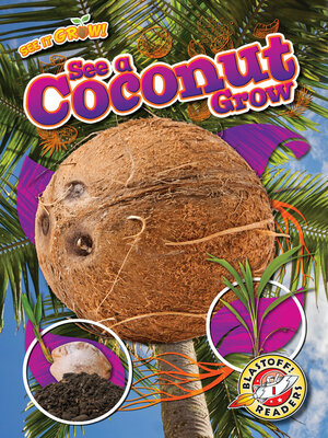 cover image of See a Coconut Grow